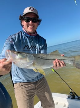 Snook Fishing in Key Largo, Florida