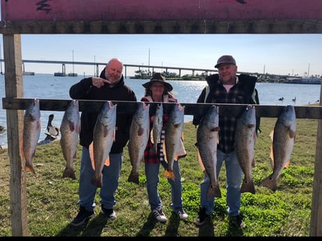 Redfish Fishing in Aransas Pass, Texas