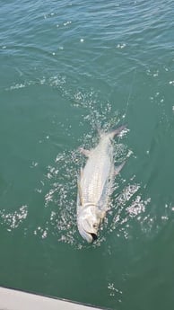 Fishing in Port O&#039;Connor, Texas