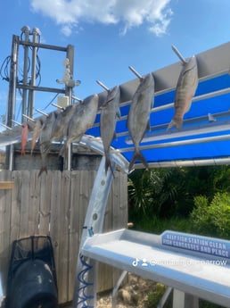 Amberjack, Red Snapper, Triggerfish Fishing in Destin, Florida