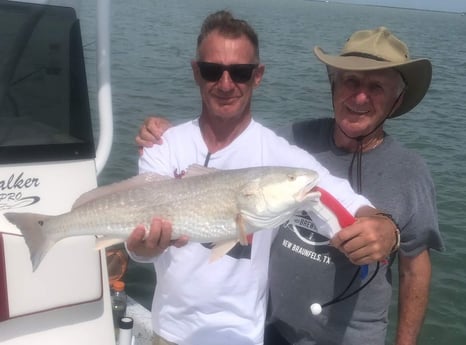 Redfish fishing in South Padre Island, Texas