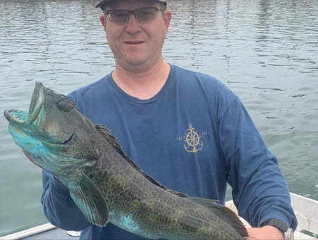 Lingcod Fishing in Oxnard, California