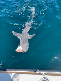 Red Snapper fishing in Atlantic Beach, Florida