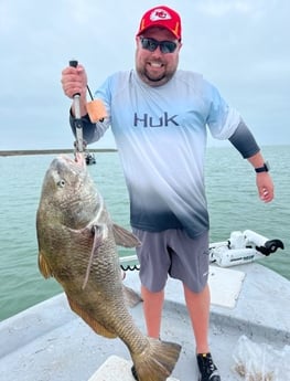 Black Drum fishing in Aransas Pass, Texas