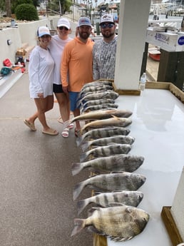 Black Drum, Redfish, Sheepshead Fishing in Rockport, Texas