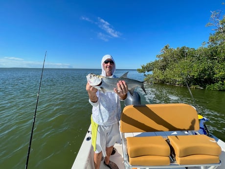 Tarpon Fishing in Marathon, Florida