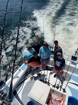 Red Snapper Fishing in Orange Beach, Alabama