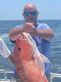 Red Snapper fishing in Orange Beach, Alabama