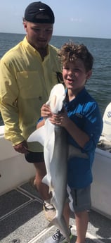 Bonnethead Shark fishing in Galveston, Texas