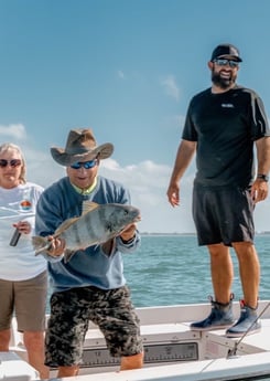 Snook fishing in Sarasota, Florida