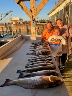 Black Drum, Redfish, Speckled Trout Fishing in Galveston, Texas