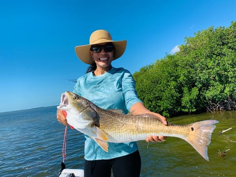 Redfish Fishing in Key Largo, Florida