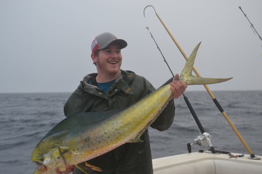 Mahi Mahi / Dorado fishing in Galveston, Texas