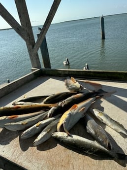 Fishing in Port Aransas, Texas