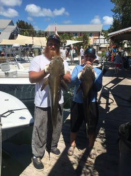 Tarpon fishing in Key West, Florida