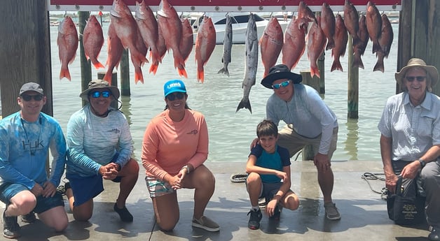 Barracuda, Mangrove Snapper, Red Snapper fishing in Port Aransas, Texas