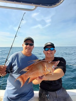 Hogfish fishing in Clearwater, Florida