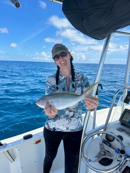 Yellowtail Snapper Fishing in Key Largo, Florida