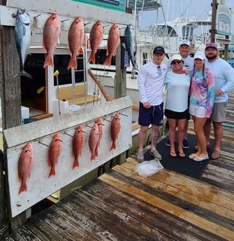 False Albacore, Red Snapper Fishing in Destin, Florida