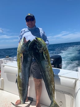 Yellowfin Tuna fishing in Rockport, Texas