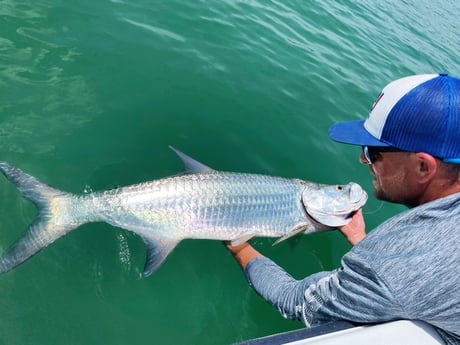 Tarpon fishing in Tavernier, Florida