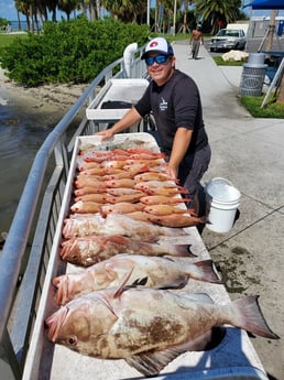 Lane Snapper, Red Grouper fishing in Clearwater, Florida