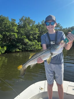 Snook Fishing in Saint Petersburg, Florida