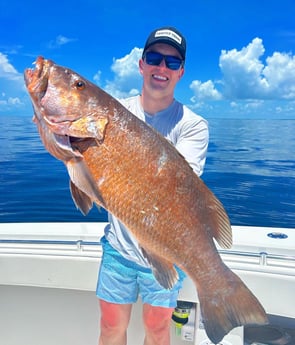 Cubera Snapper Fishing in Islamorada, Florida