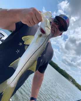 Redfish fishing in Clearwater, Florida