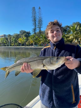 Snook fishing in Sarasota, Florida