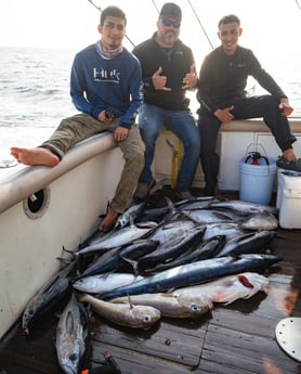 Blackfin Tuna, Little Tunny / False Albacore, Tilefish, Wahoo fishing in Galveston, Texas