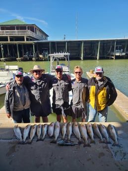 Black Drum, Redfish fishing in Port O&#039;Connor, Texas