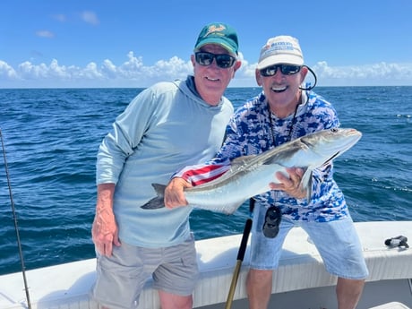 Fishing in Naples, Florida