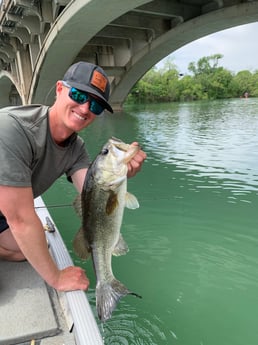 Largemouth Bass fishing in Austin, Texas