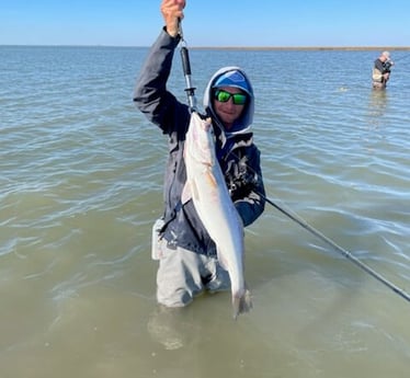 Speckled Trout / Spotted Seatrout fishing in Matagorda, Texas