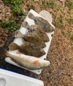 Flounder, Redfish Fishing in Destin, Florida