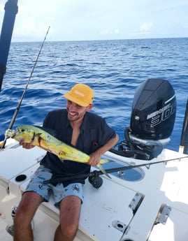 Mahi Mahi Fishing in Key Largo, Florida