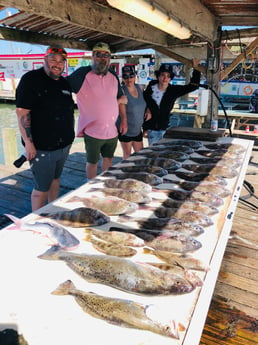 Black Drum, Redfish, Sheepshead, Speckled Trout / Spotted Seatrout fishing in Surfside Beach, Texas