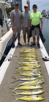 Mahi Mahi / Dorado fishing in Miami Beach, Florida