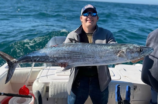 Gag Grouper fishing in Clearwater, Florida