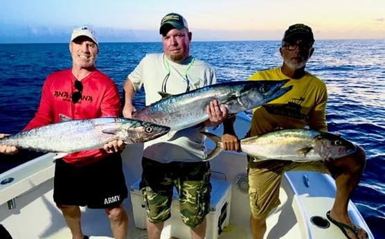 Amberjack, Kingfish Fishing in Marathon, Florida