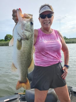 Largemouth Bass fishing in Austin , Texas