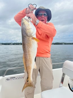 Redfish Fishing in Orange Beach, Alabama