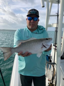 Tarpon fishing in Key West, Florida