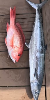 King Mackerel / Kingfish, Red Snapper fishing in Niceville, Florida