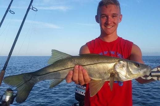 Snook Fishing in Clearwater, Florida