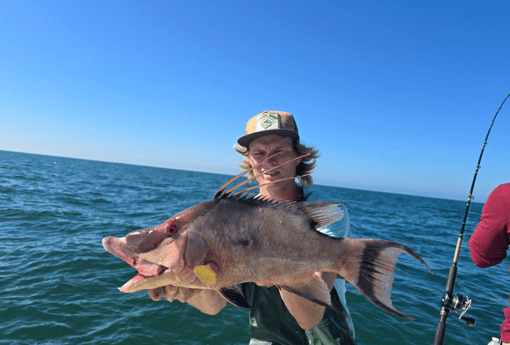 Fishing in St. Petersburg, Florida