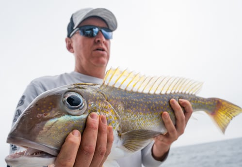 Tilefish fishing in Galveston, Texas