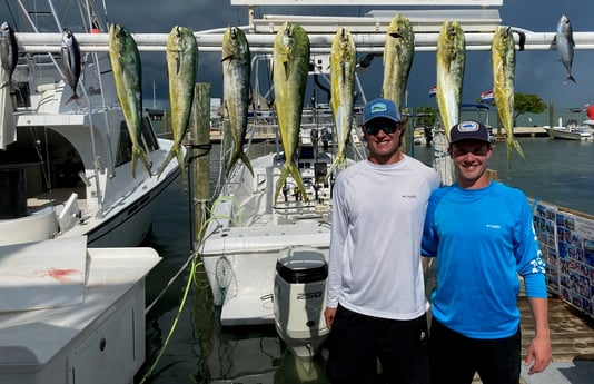 Mahi Mahi / Dorado fishing in Islamorada, Florida