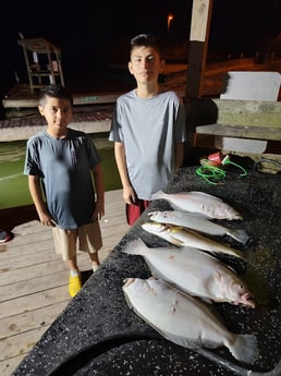 Flounder, Speckled Trout / Spotted Seatrout Fishing in Rio Hondo, Texas